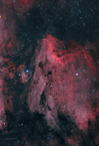 IC5070 Nebulosa Pellicano